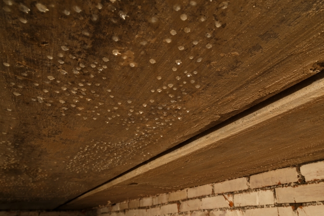 moisture forming on the ceiling of a crawlspace