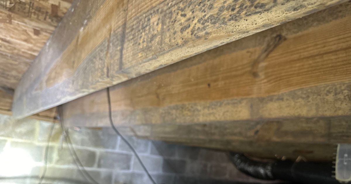 Mold growth on wooden beams in a damp crawlspace in Central Indiana home